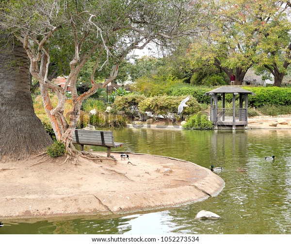 Botanic Garden Bench Scenic Pond Santa Stock Photo Edit Now