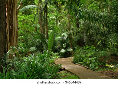 Botanic Garden, Cairns, Queensland, Australia