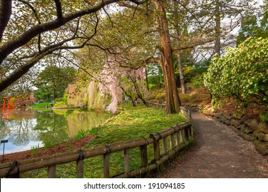 Botanic Garden Walkway