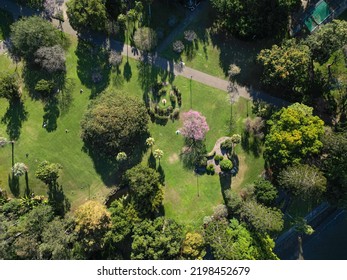 410 Brisbane city botanic gardens Images, Stock Photos & Vectors ...