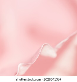 Botanical concept, wedding invitation card - Soft focus, abstract floral background, pink rose flower petals. Macro flowers backdrop for holiday design - Shutterstock ID 2028341369