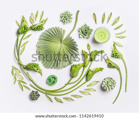 Similar – Green flowers and leaves flat lay