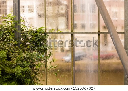 Similar – Image, Stock Photo Flower pots and cacti on one table