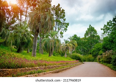 Botanical garden in Batumi, Georgia - Shutterstock ID 2117960819