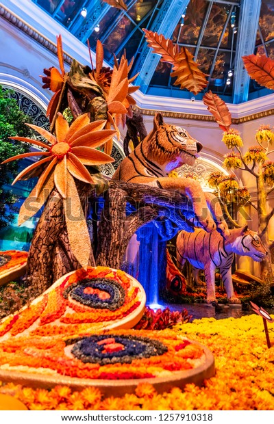 Botanical Garden Bellagio Casino Las Vegas Stock Photo Edit Now
