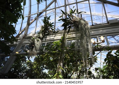 Botanical Garden Bronx New York