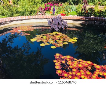 Denver Botanical Gardens Images Stock Photos Vectors Shutterstock