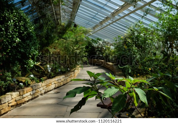 Botanical Garden Greenhouse 23 May 2018 Stock Photo Edit Now