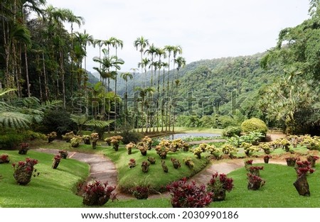 The botanical garden located near Fort-de-France, Martinique, French West Indies.