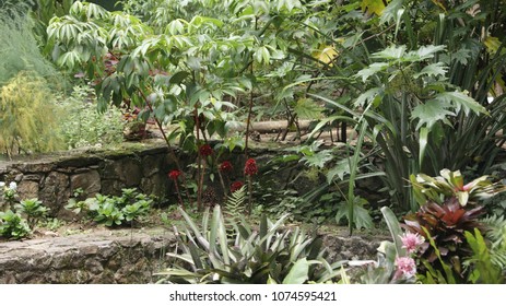 Botanical garden Medellin - Shutterstock ID 1074595421