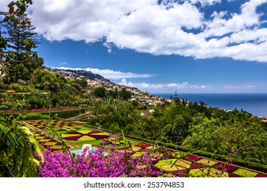 Royalty Free Botanical Garden Funchal Stock Images Photos