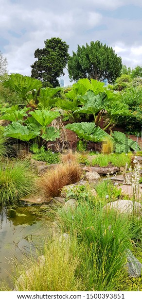 Botanical Garden Palmengarten Frankfurt Main Germany Stock Photo