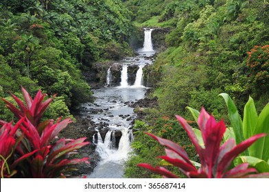 Botanical Gardens Hilo Hawaii