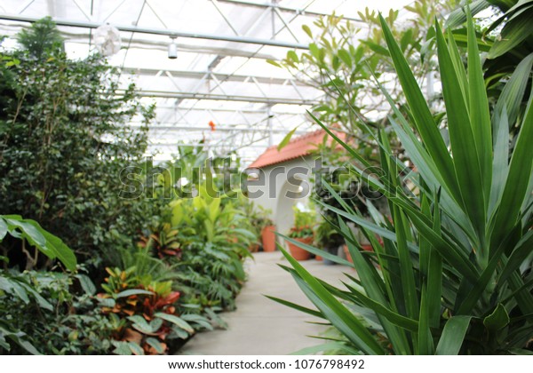 Botanical Gardens Roger Williams Park Stock Photo Edit Now