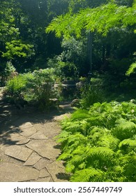 The Botanical Gardens of UNCC