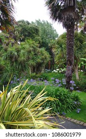 Botanical Gardens,Ventnor, Isle Of White