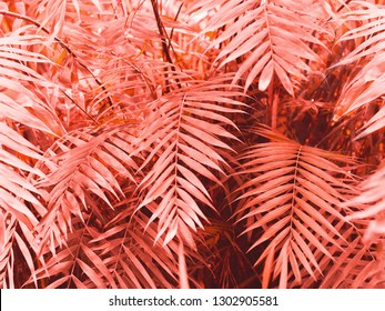 Botanical Organic Texture Background In Color Pantone Living Coral, Summer Floral Wallpaper