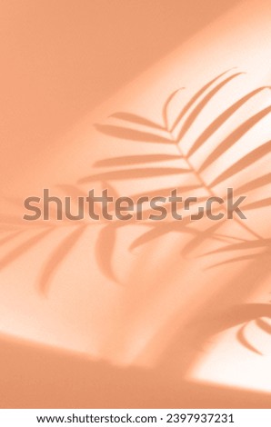 Botanical velvety gentle peach tone Peach Fuzz background with shadow of palm leaves. Sunlight and shadows template design.