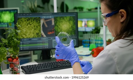 Botanist researcher holding petri dish with green leaf sample analyzing genetic mutation after biological gmo test. Chemist scientist researching botany plants working in microbiology laboratory - Powered by Shutterstock