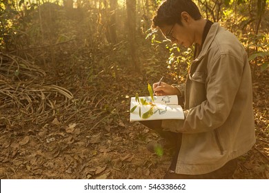 Botanists are taking note of the plants found in the tropical forests. (Light and optics Fair) - Powered by Shutterstock