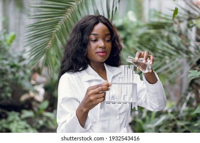 Botany, agronomy, work in greenhouse. Young high skilled professional female scientist biologist, dressed in lab coat, working in hothouse, pouring clear liquid from flask into set of test tubes.