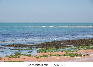 Botany Bay In Broadstairs, East Kent, England With Floating Offshore Wind Farms At Horizon