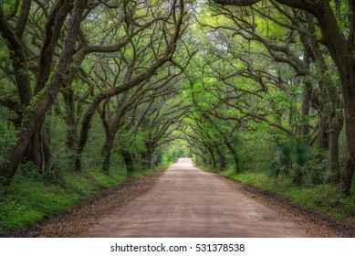 Botany Bay Dirt Road In South Carolina. 