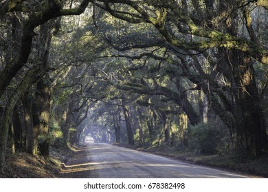 Botany Bay Road