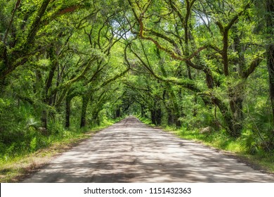 Botany Bay Road In South Carolina 