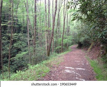 Bote Mountain Trail In Great Smoky Mountains National Park