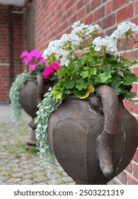 Both print and digital magazines that focus on home, garden, and lifestyle content might use these photos to illustrate articles about gardening trends, Scandinavian design, or nature-inspired living