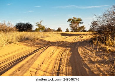 Botswana, Kalahari Desert, Africa