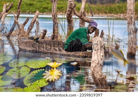 Botswana, Okavango Delta, mokoro fisherman, sailing between the water lilies, fish jumping out the water, scenic view of life on the channels