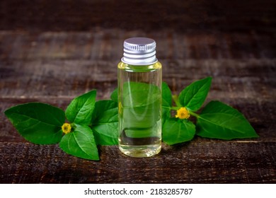 Bottle Of Acmella Oleracea, Paracress Or Toothache Plant Extract On Rustic Wooden Table.