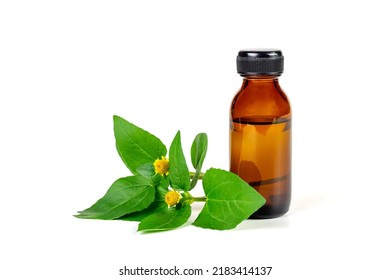 Bottle Of Acmella Oleracea, Paracress Or Toothache Plant Extract Isolated On White Background.