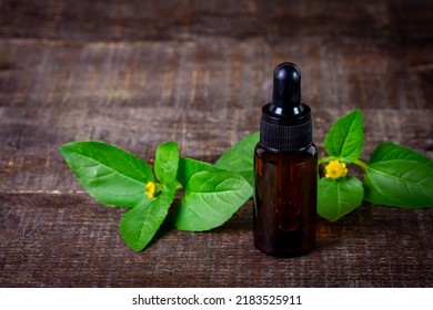 Bottle Of Acmella Oleracea, Paracress Or Toothache Plant Extract On Rustic Wooden Table.