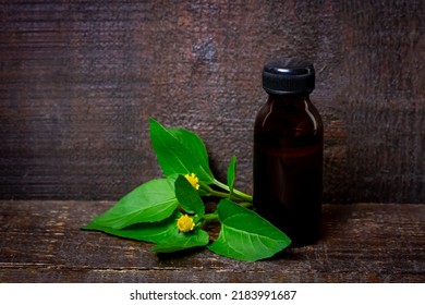 Bottle Of Acmella Oleracea, Paracress Or Toothache Plant Extract On Rustic Wooden Table.