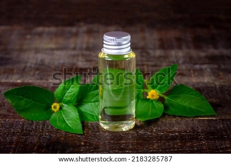 Bottle of Acmella Oleracea, Paracress or Toothache plant extract on rustic wooden table.