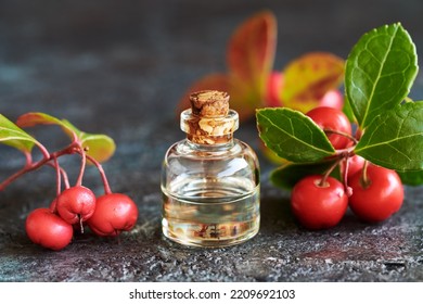 510 Teaberry Images, Stock Photos & Vectors | Shutterstock