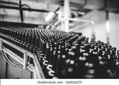 Bottle Beer Production