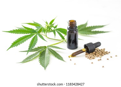 Bottle of cannabis oil with leafs and seeds