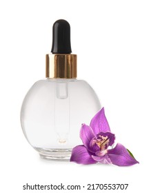 Bottle of cosmetic serum and orchid flower isolated on white