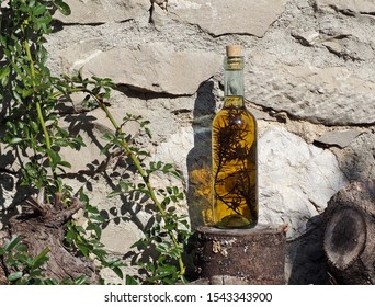 Bottle of craft grappa, an italian pomace brandy, with a juniper sprig in it, on a wooden trunk. Stone wall on background