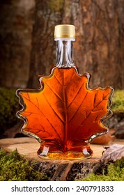 A bottle of delicious maple syrup in hardwood forest setting.