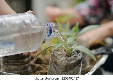 Bottle Detail Spilling Water To Water A Plant In A Recycled Bottle