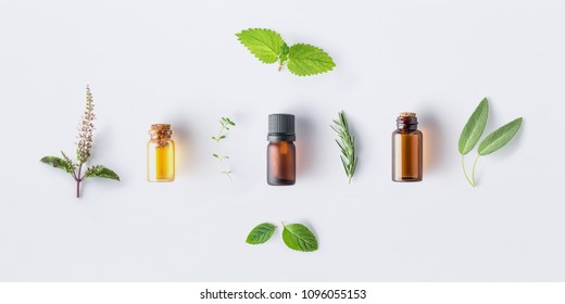Bottle of essential oil with fresh herbal sage, rosemary, oregano, thyme, lemon balm spearmint and peppermint setup with flat lay on white background