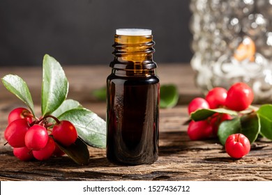 A Bottle Of Essential Oil With Fresh Wintergreen Plant