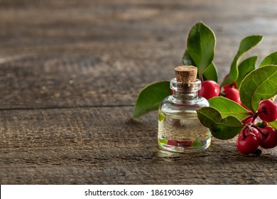 A Bottle Of Essential Oil With Fresh Wintergreen Plant