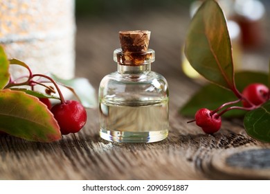 A Bottle Of Essential Oil With Fresh Wintergreen Leaves And Berries