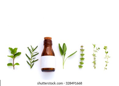Bottle of essential oil with herb holy basil leaf, rosemary,oregano, sage,basil and mint on white background.